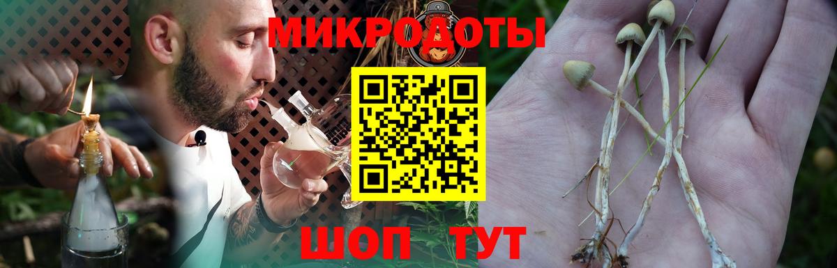 Галлюциногенные грибы GOLDEN TEACHER Печора