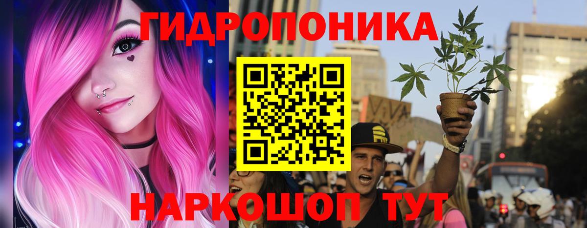 Печора  Конопля VHQ  Вход с VPN  Канабис план 